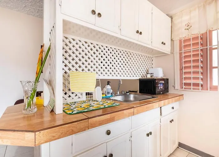 Apartamento Shaw Park Gem 12a